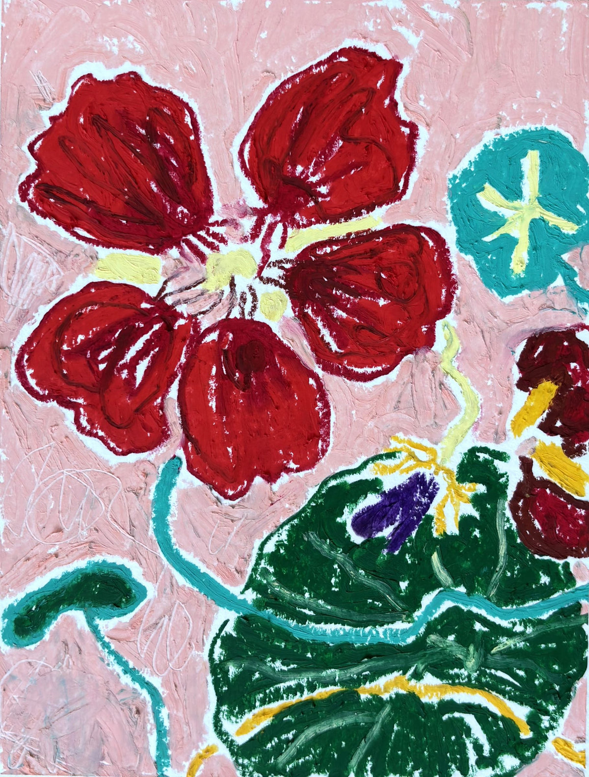 Nasturtiums Pink Background