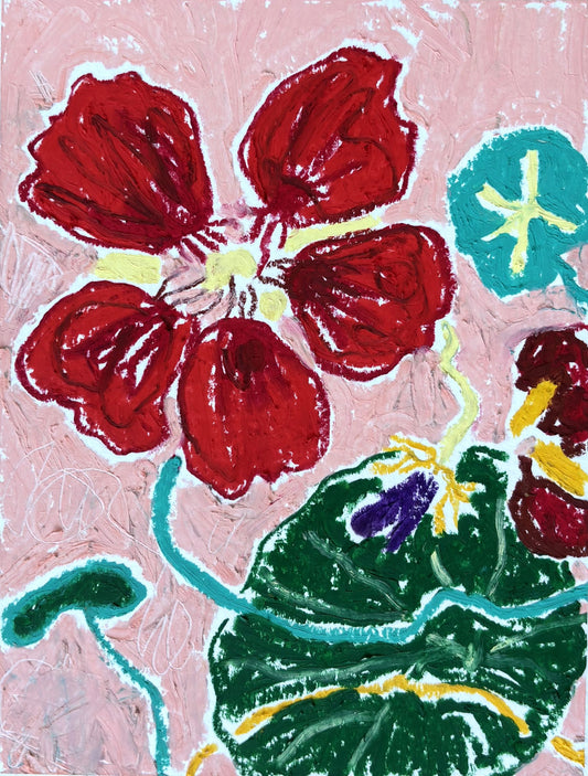 Nasturtiums Pink Background