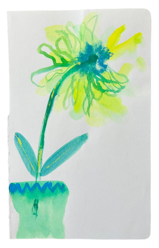 Yellow Scabiosa 2 sketchbook study 21cm x 13cm